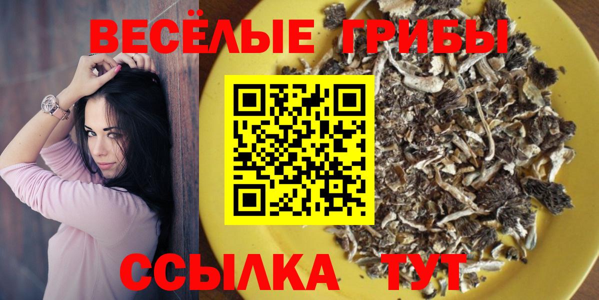 Псилоцибиновые грибы прущие грибы Чернушка