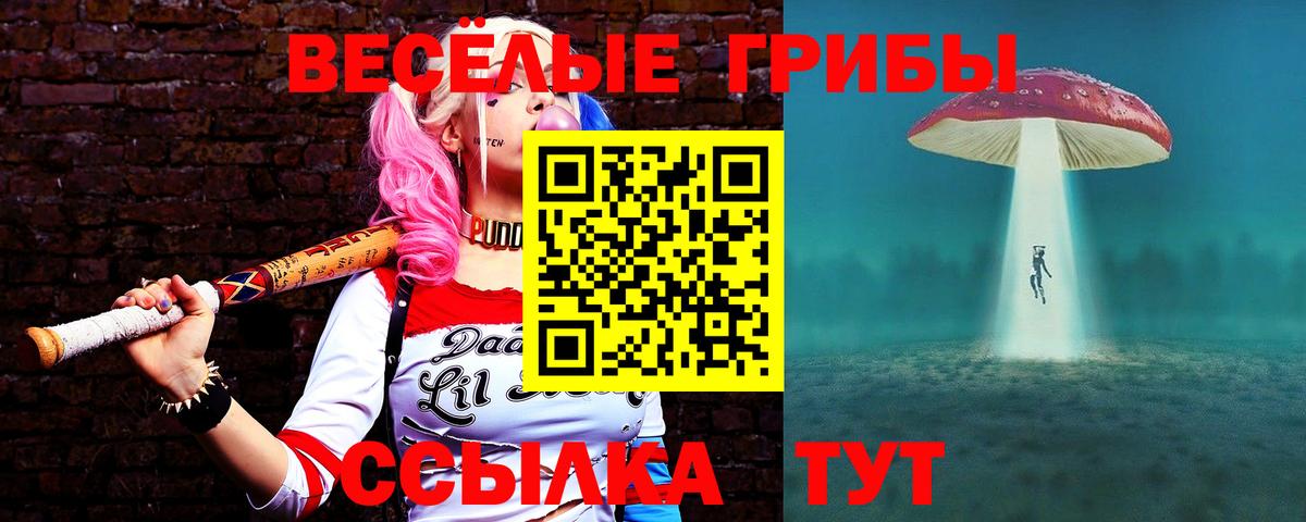 Псилоцибиновые грибы мицелий  Вход с VPN  Чернушка 